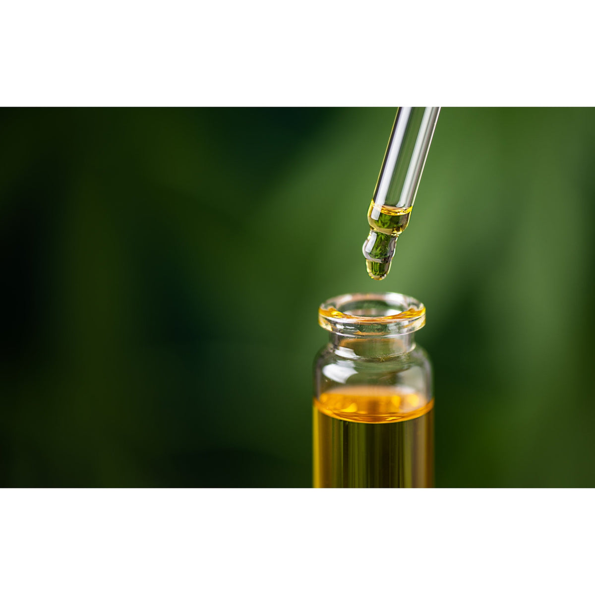 Herbal Antivirals: Strengthen Your Immunity Naturally Book