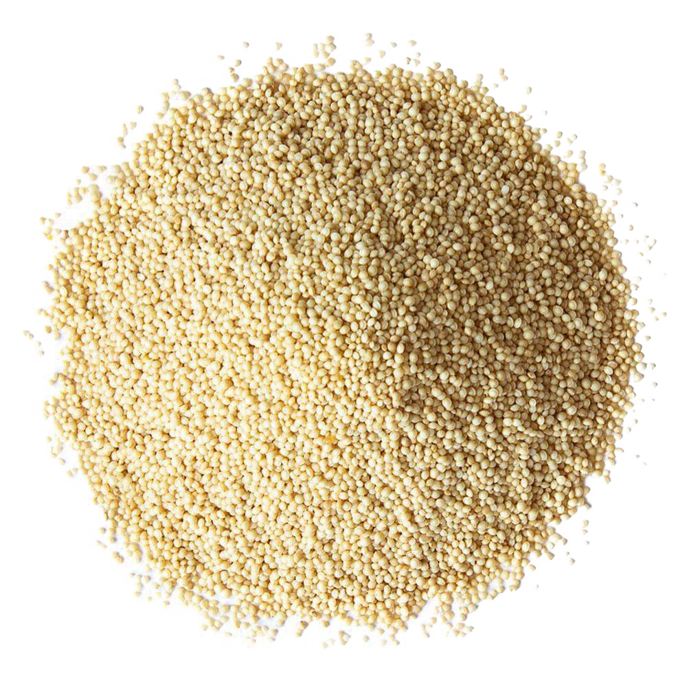 Organic Whole Amaranth Grain - 25 lb