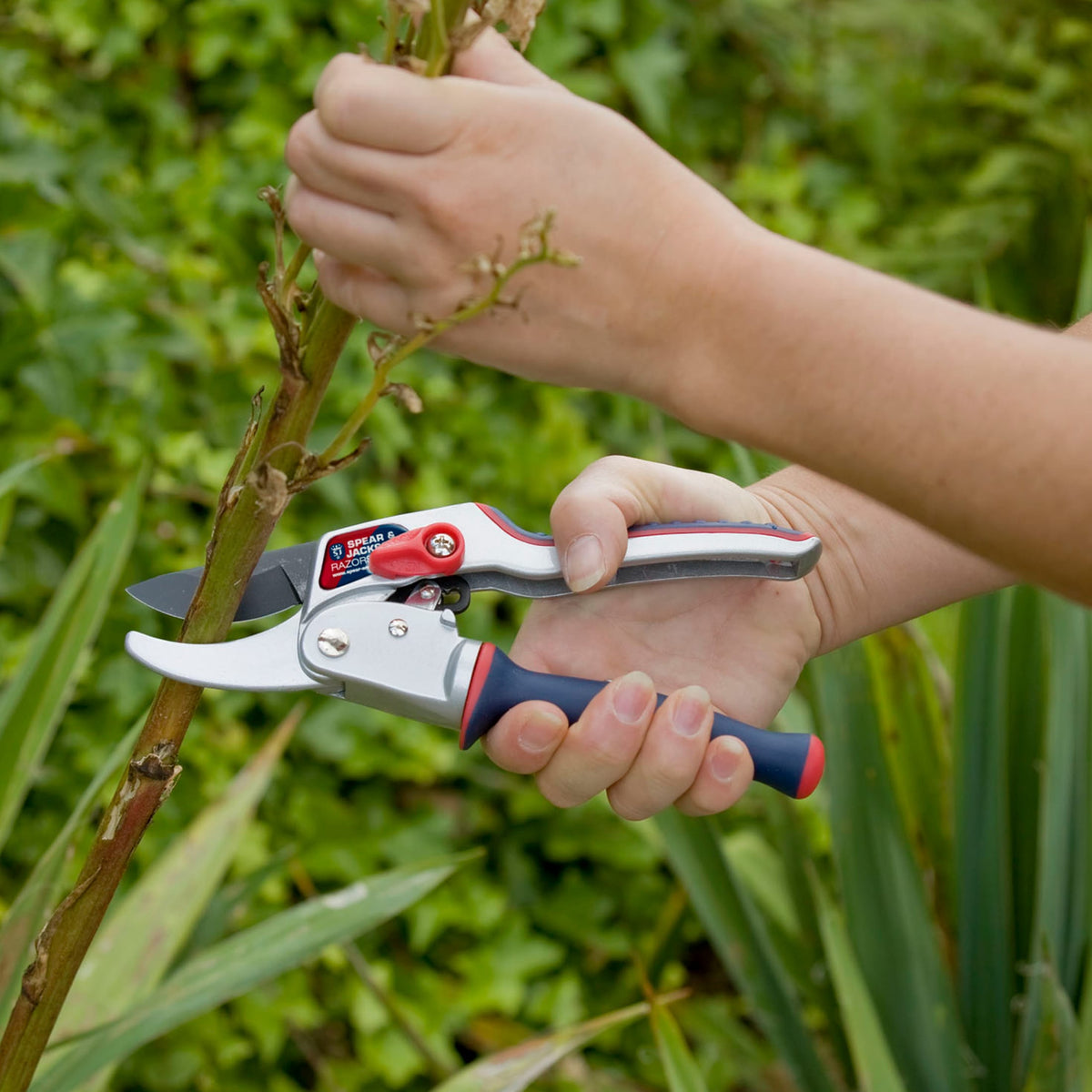 Spear & Jackson Ratchet Anvil Pruners with Twist Handle