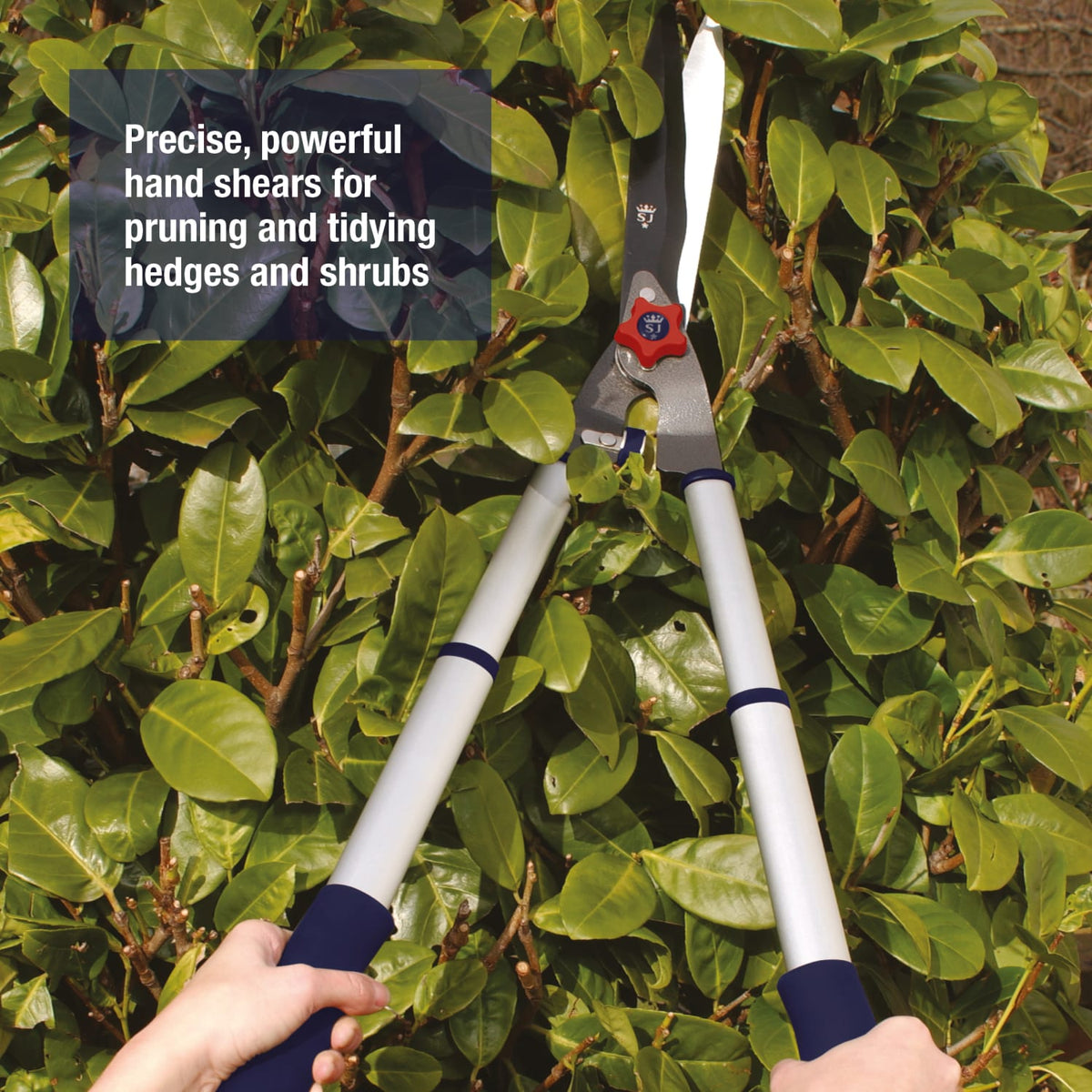 Spear & Jackson Razorsharp Telescopic Hedge Shears