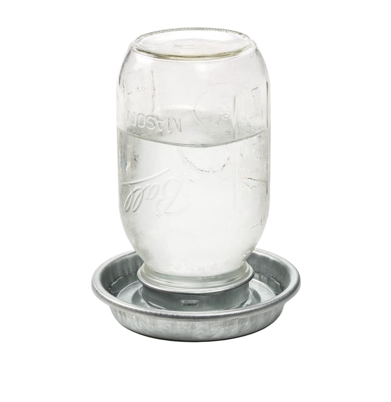 Jar Chicken Waterer