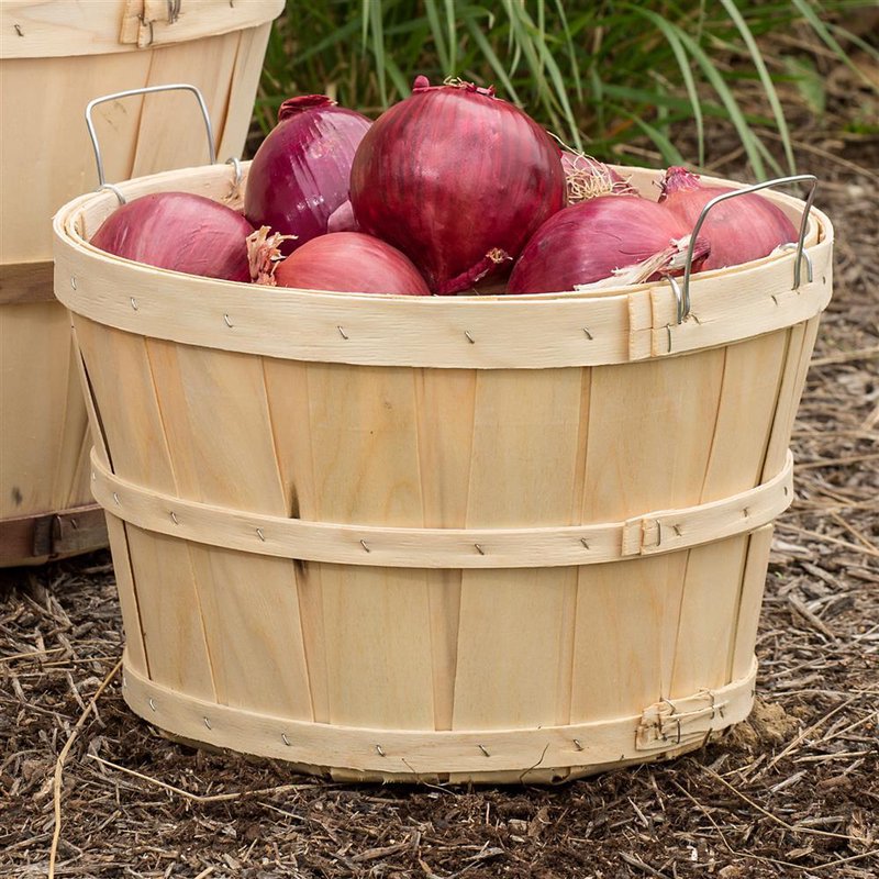 Old-Time Poplar Half Bushel Baskets