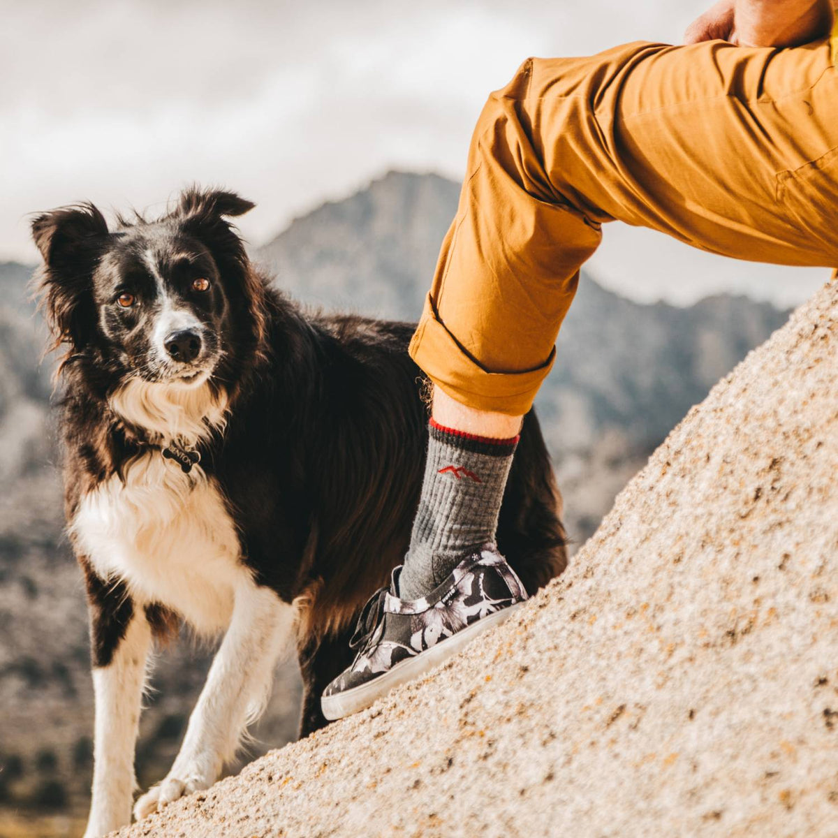 Darn Tough Men's Hiker Boot Midweight Socks