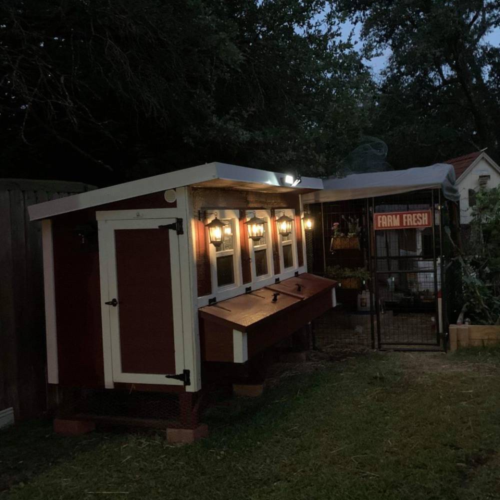 OverEZ Chicken Coop - Amish Made - Heavy Duty