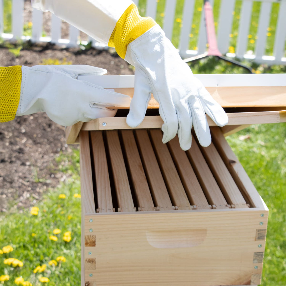 Beekeeping Gloves