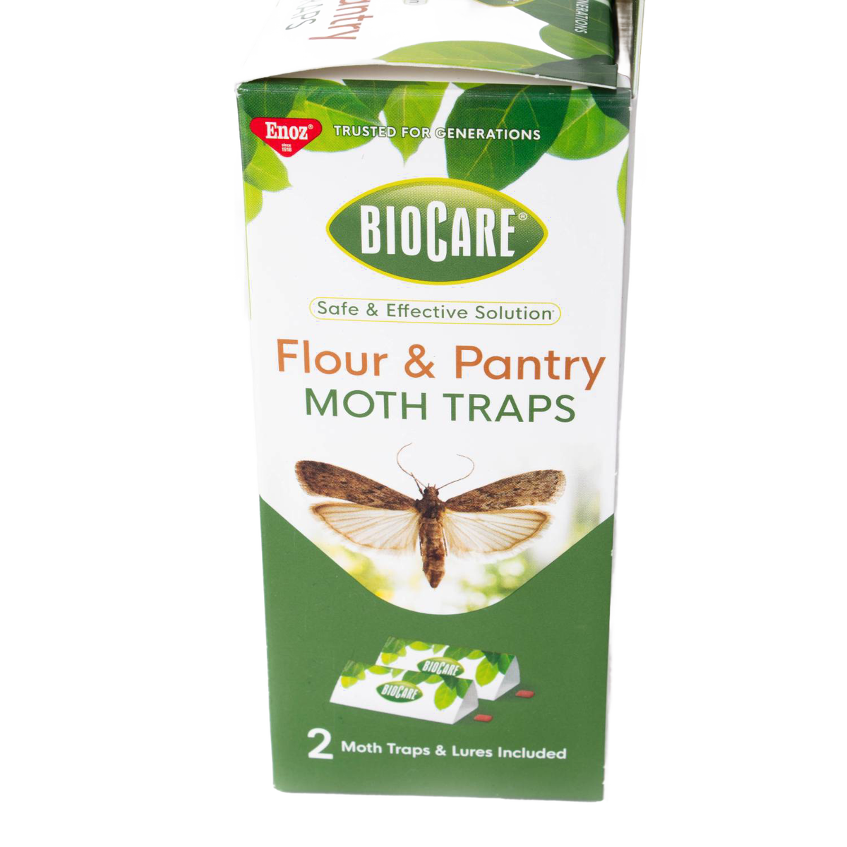 Pantry Moth Trap