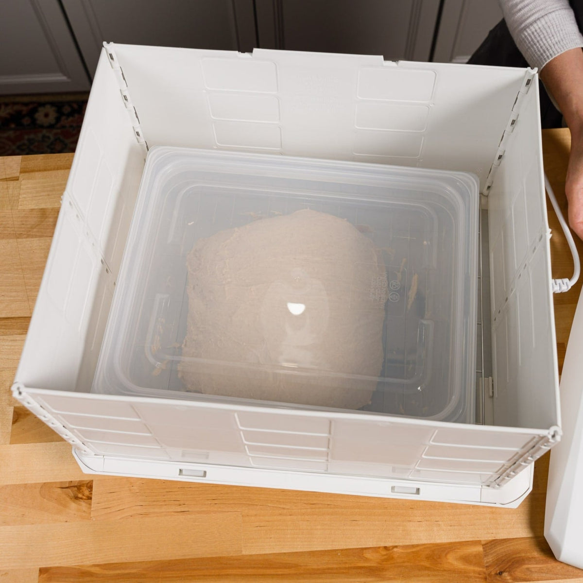 Brod & Taylor Proofing Container - 6L