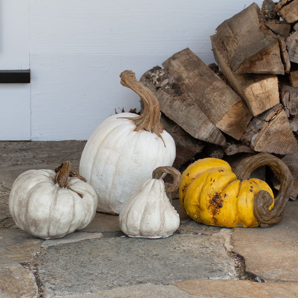 Cinderella Pumpkins, Set of 2, White