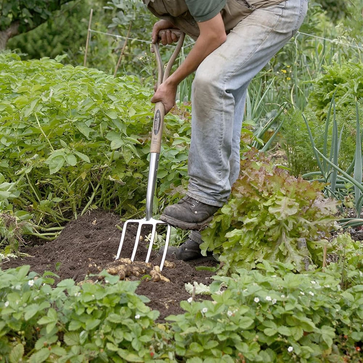 Spear & Jackson Traditional Stainless Digging Fork