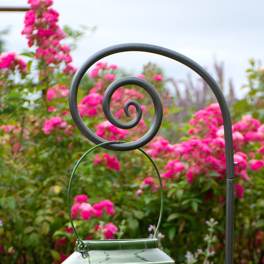 Fiddlehead Garden Hook, Set of 2