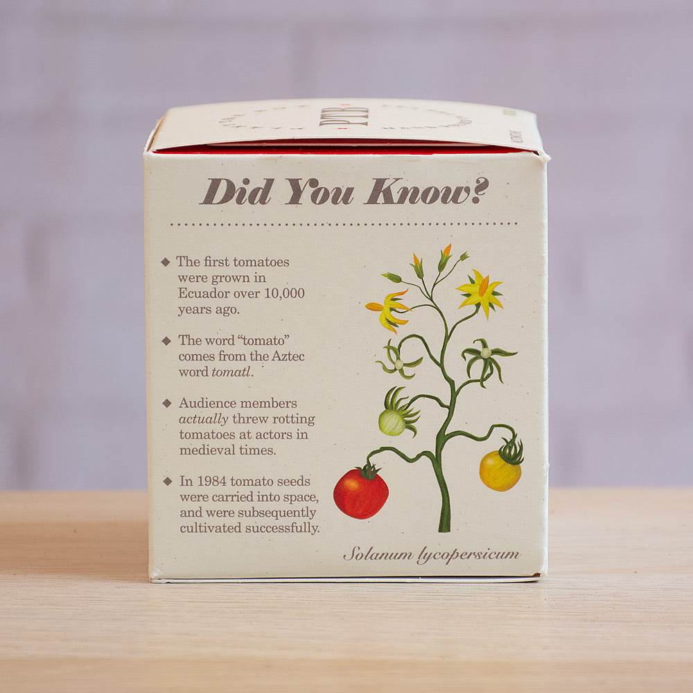 Plant the Box Wild Tomato Vine Candle