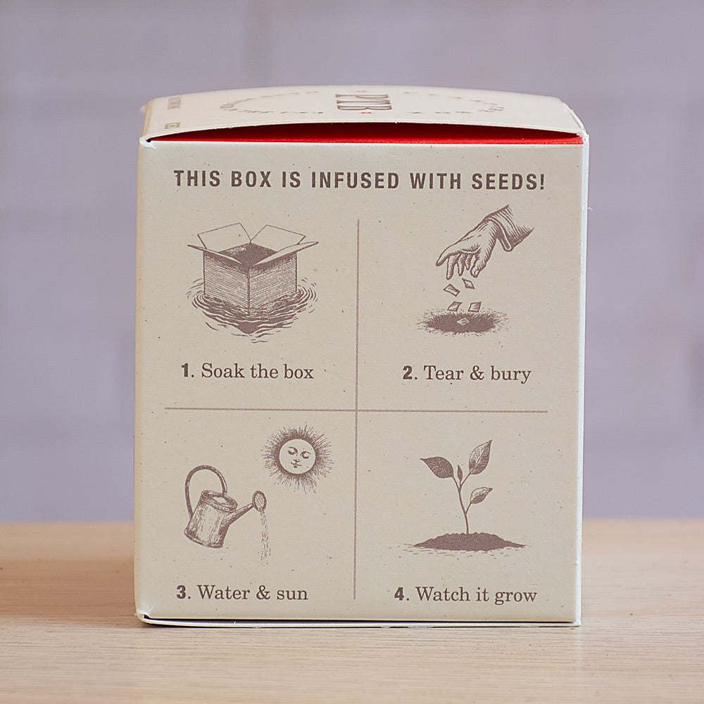 Plant the Box Wild Tomato Vine Soap