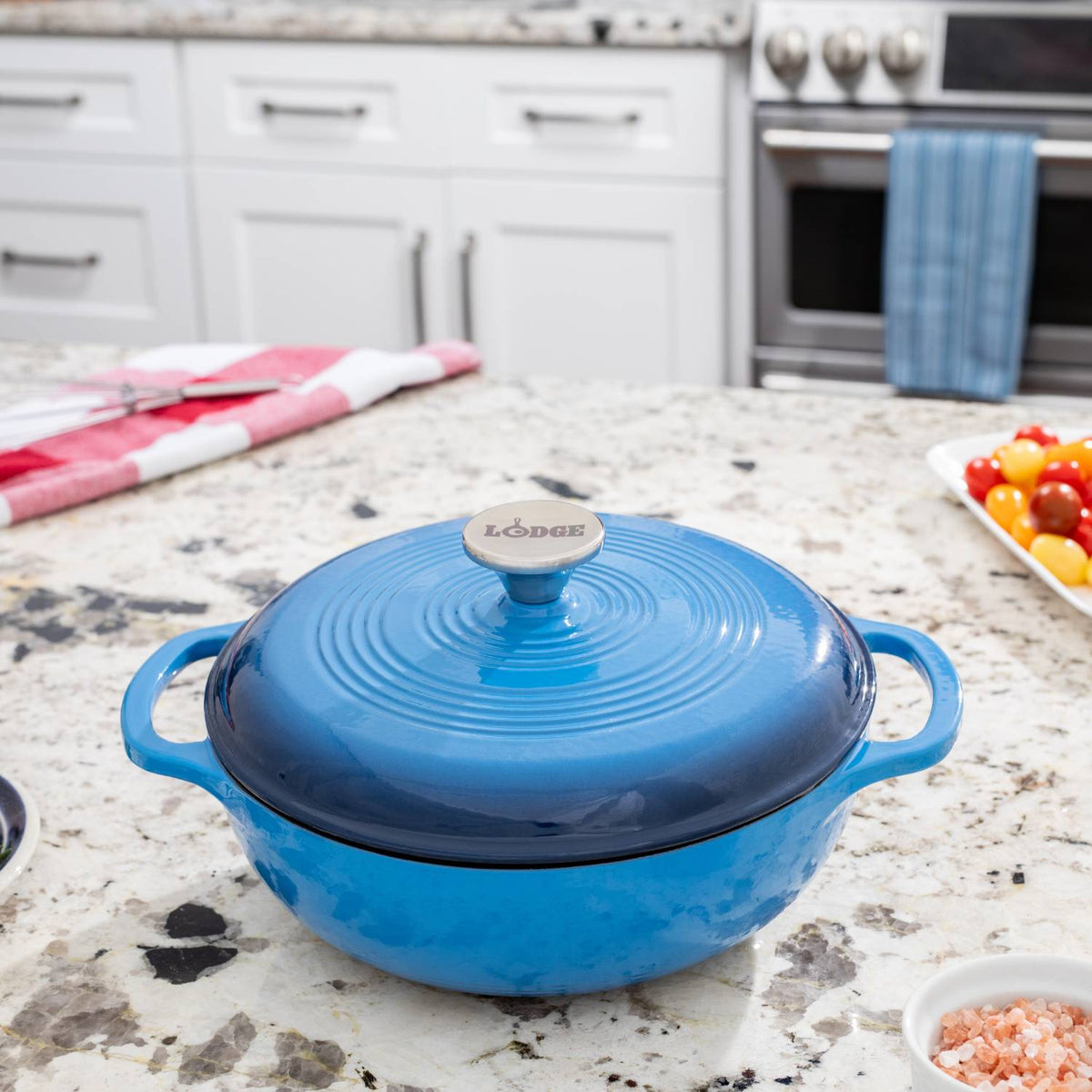 Lodge Enameled Cast Iron 3qt. Dutch Oven