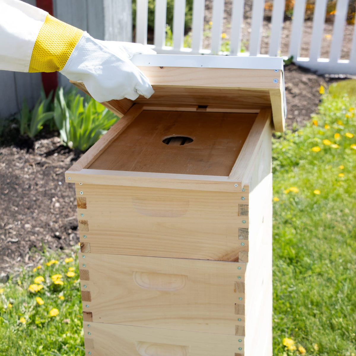 8-Frame Complete Combo Beehive Kit - Amish Made