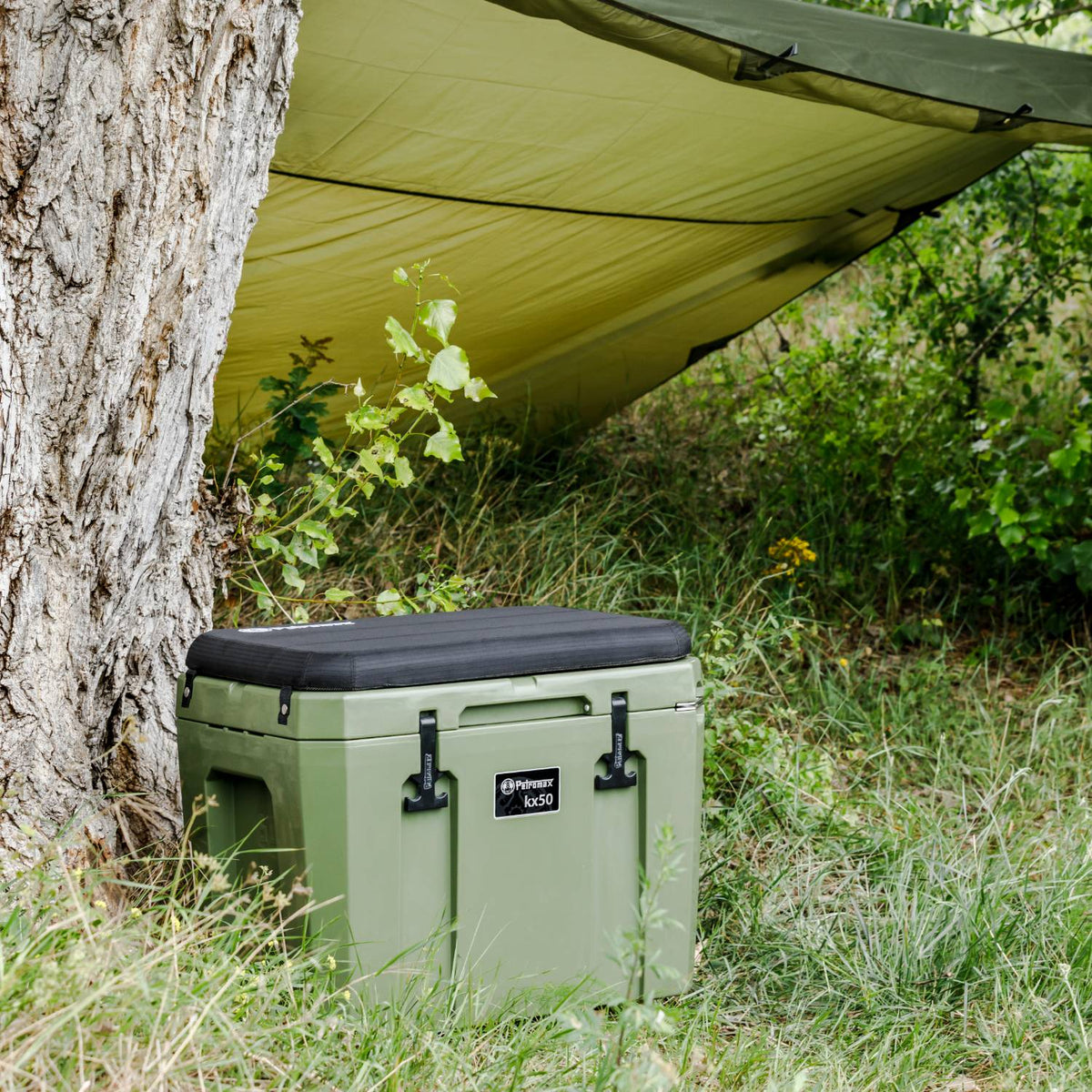 Petromax Cooler Box - 52.8 Qt (Olive)