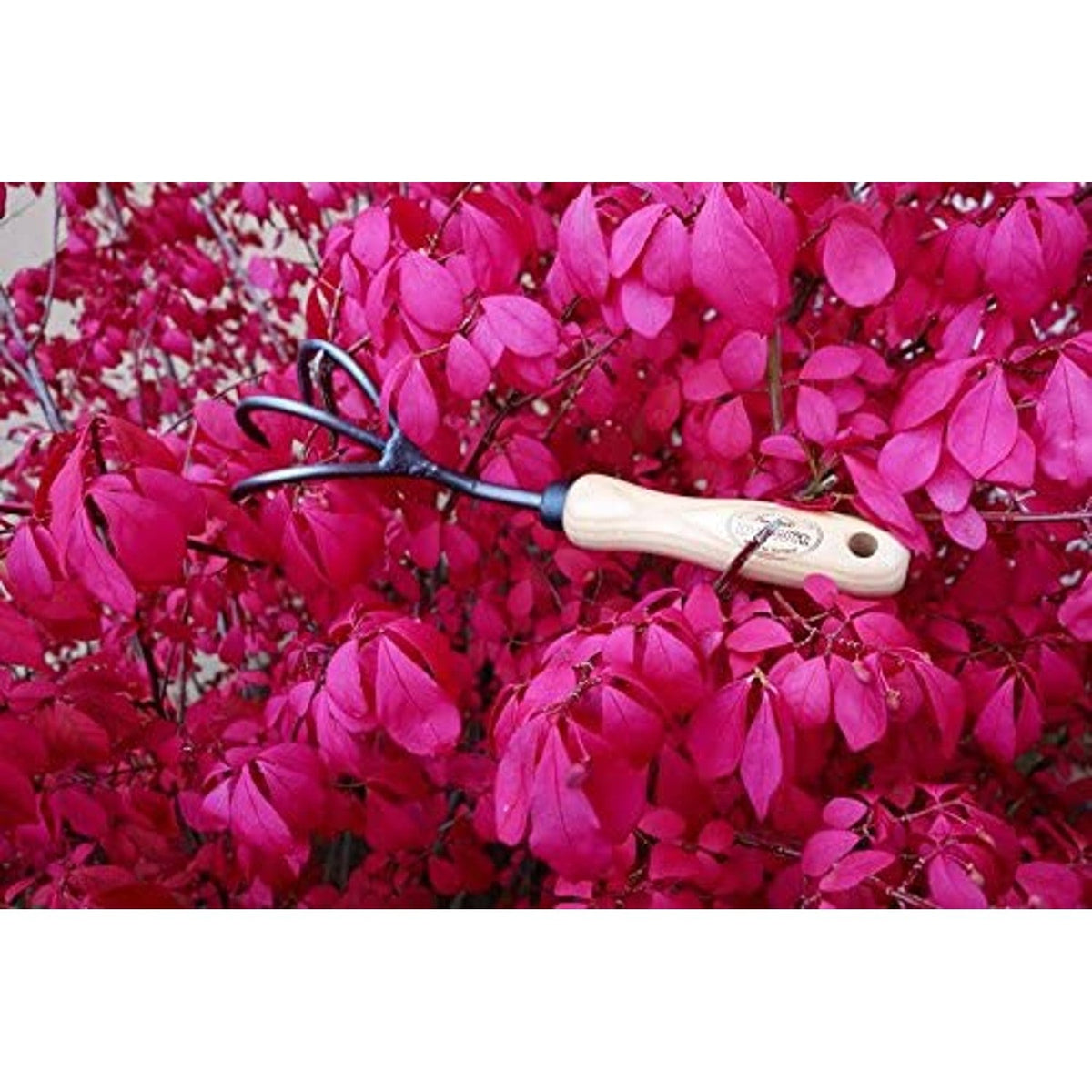 DeWit 3-Tine Cultivator