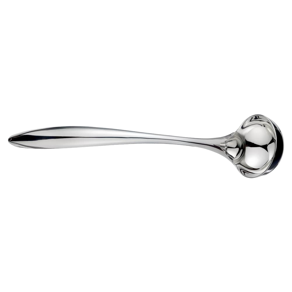 Stainless Steel Small Ladle