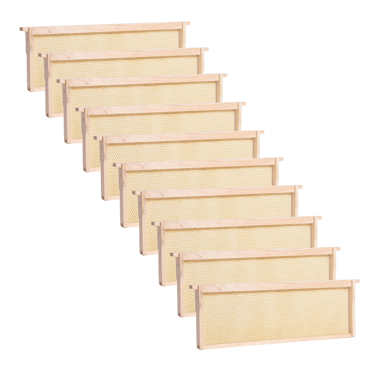 Medium Wood Bee Frame with Heavy Waxed Plastic