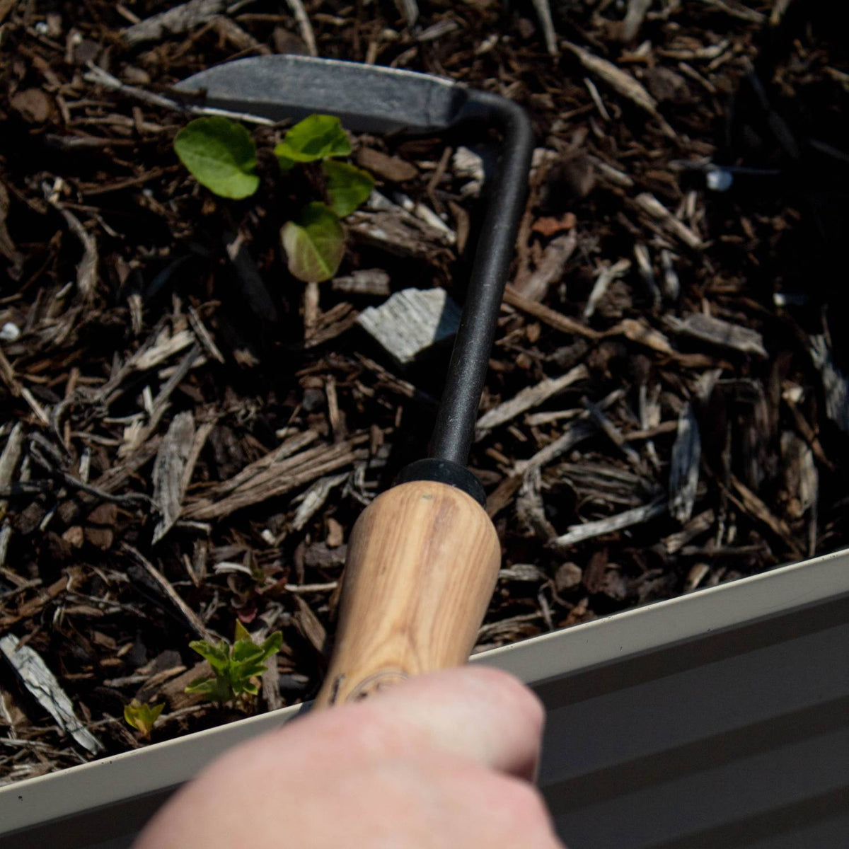DeWit Cape Cod Hand Weeder with Short Handle