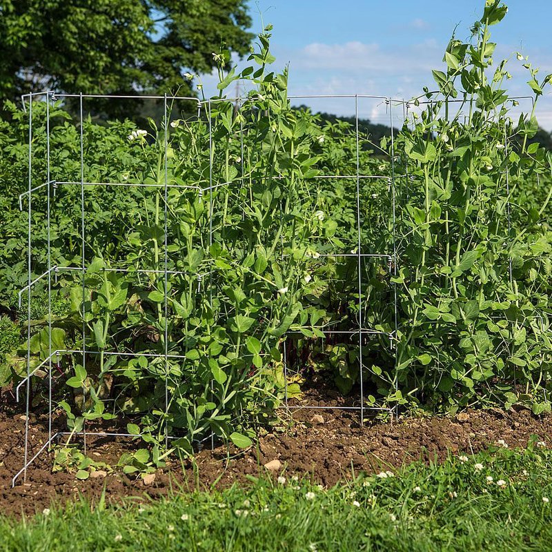Pea Fence/Straw Bale Fence - Set of 2