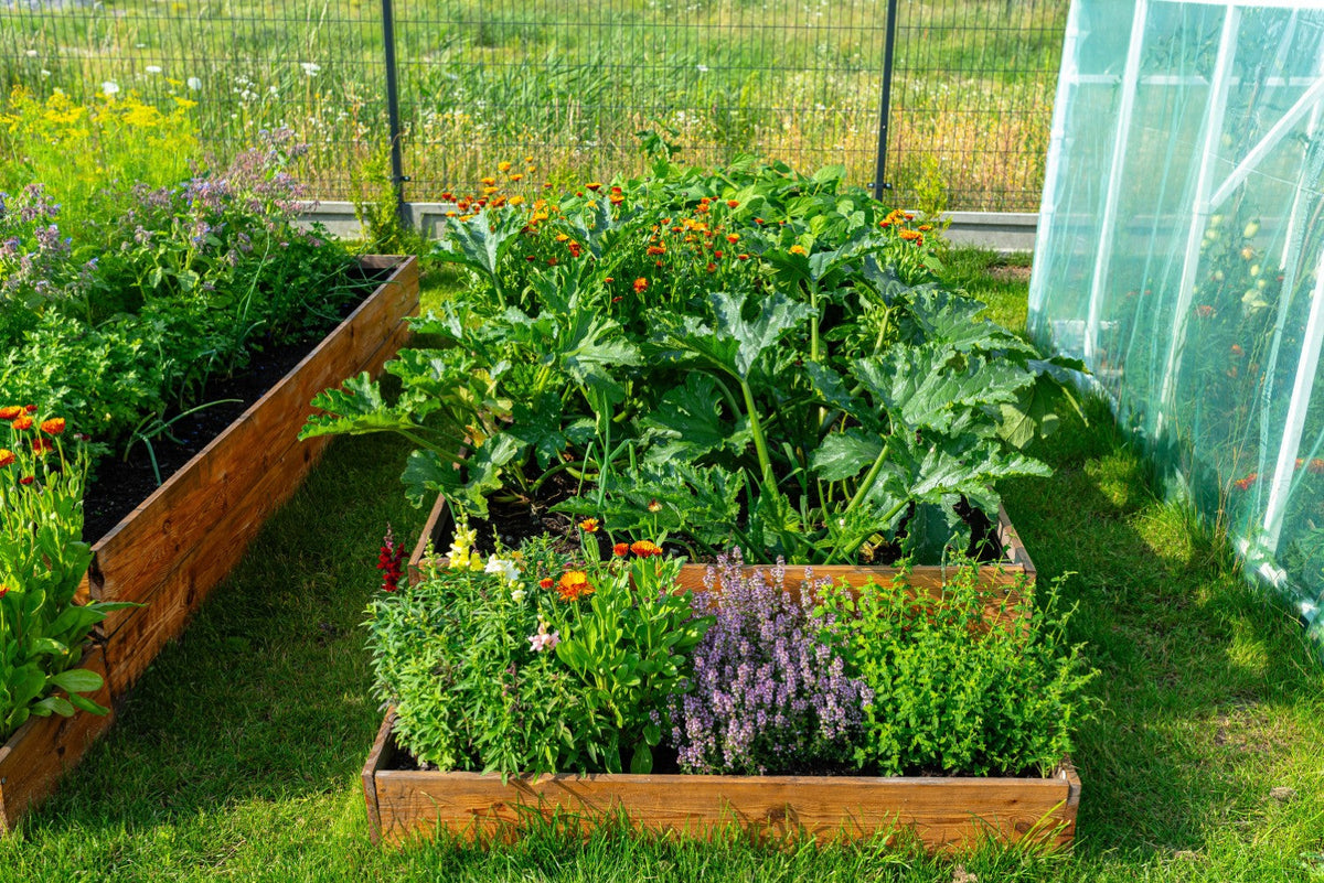Week-by-Week Vegetable Gardener's Handbook