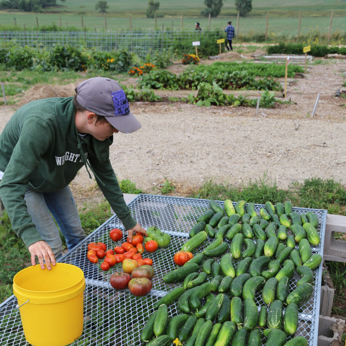 Lehman's Mega Heirloom Seed Vault with Waterproof Case