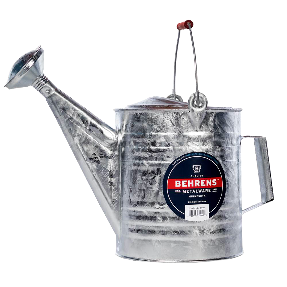 Small Galvanized Watering Can