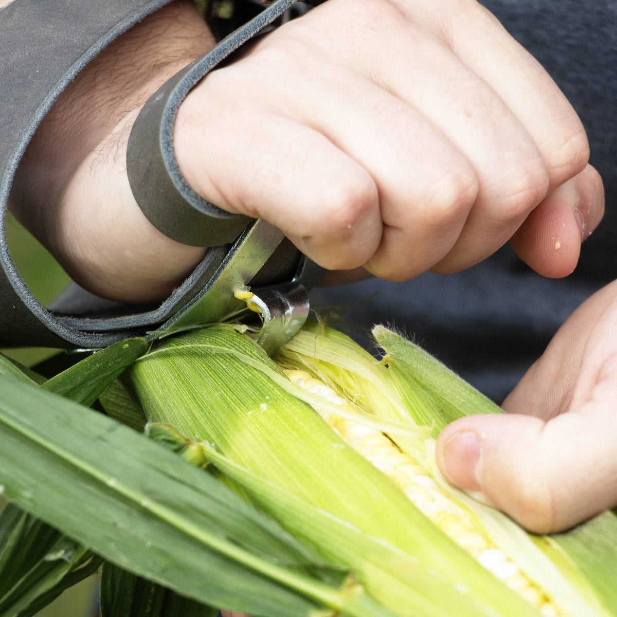 Single Hook Corn Husker