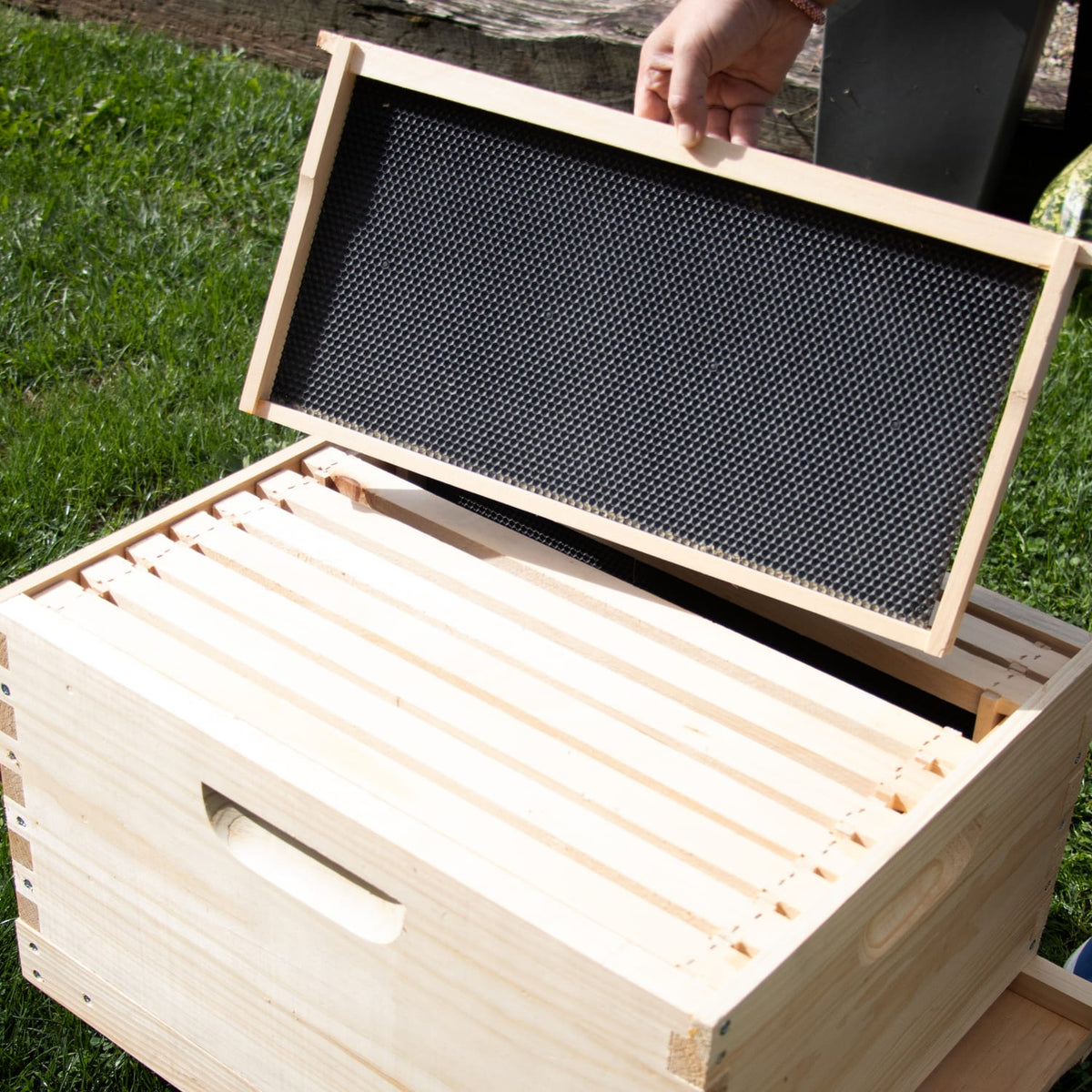 10-Frame Beehive Kit with Tools - Complete Starter Set