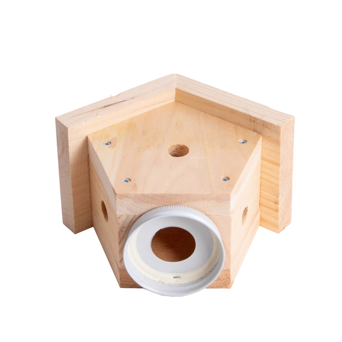 Outdoor Carpenter Bee Trap