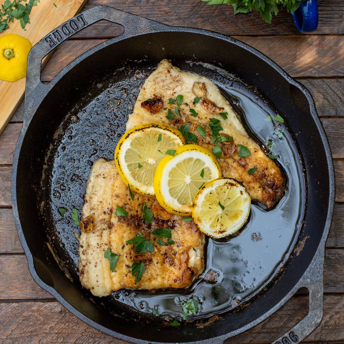 Lodge Cast Iron Dual Handle Camper Pan - 10.25 in