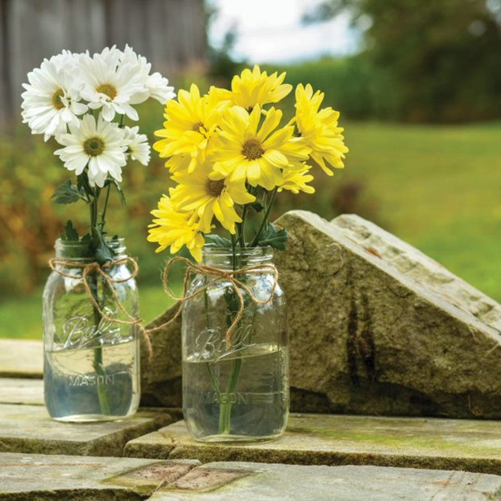 Ball Regular-Mouth Canning Jars (12)