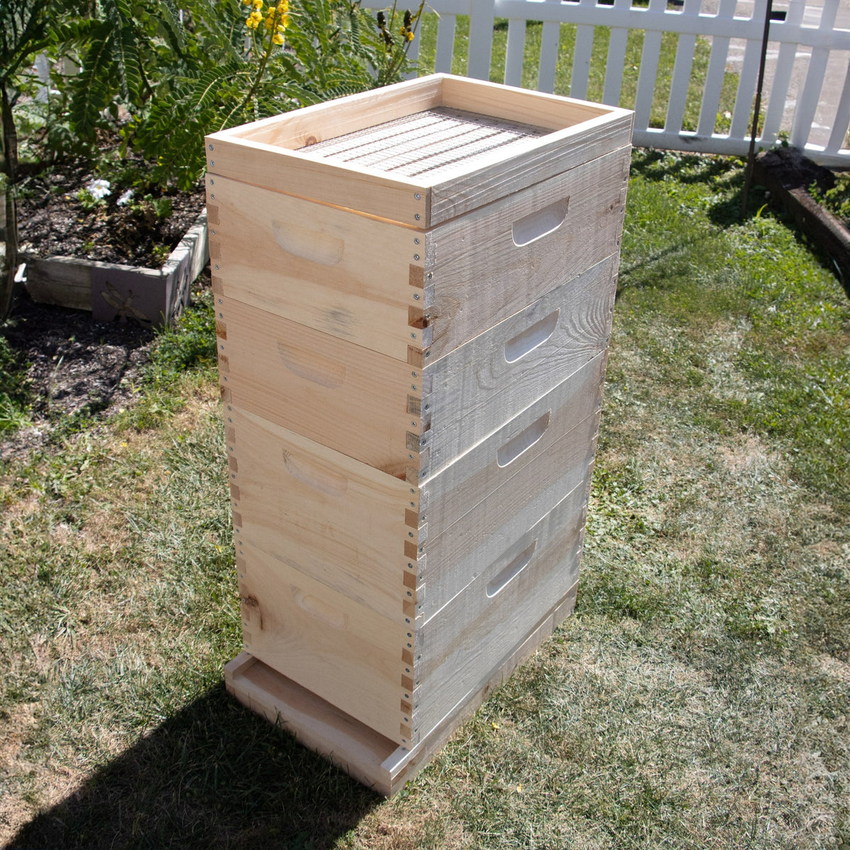 8-Frame Candy Board Feeder for Hive
