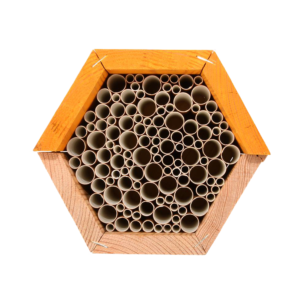 Hexagonal Bee House