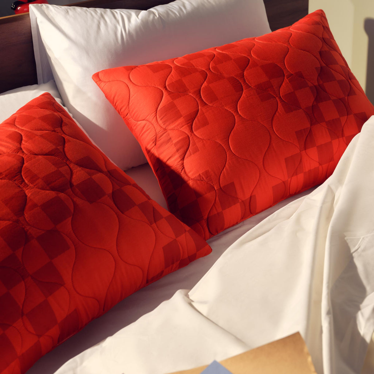 Modern Heritage Quilted Sham Set