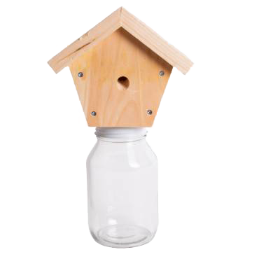 Outdoor Carpenter Bee Trap