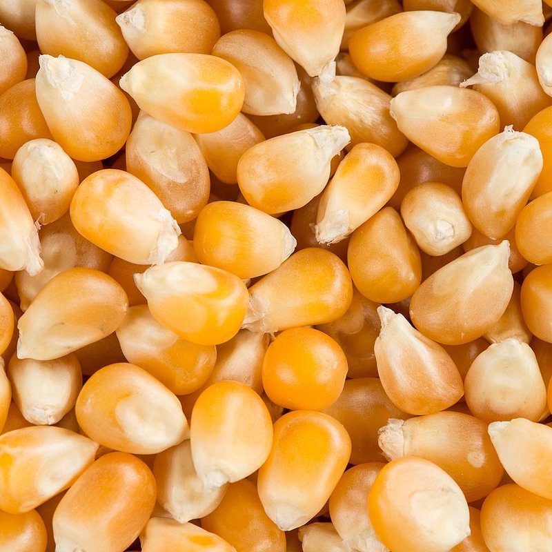 Yoder's Popcorn - 6 lb bag