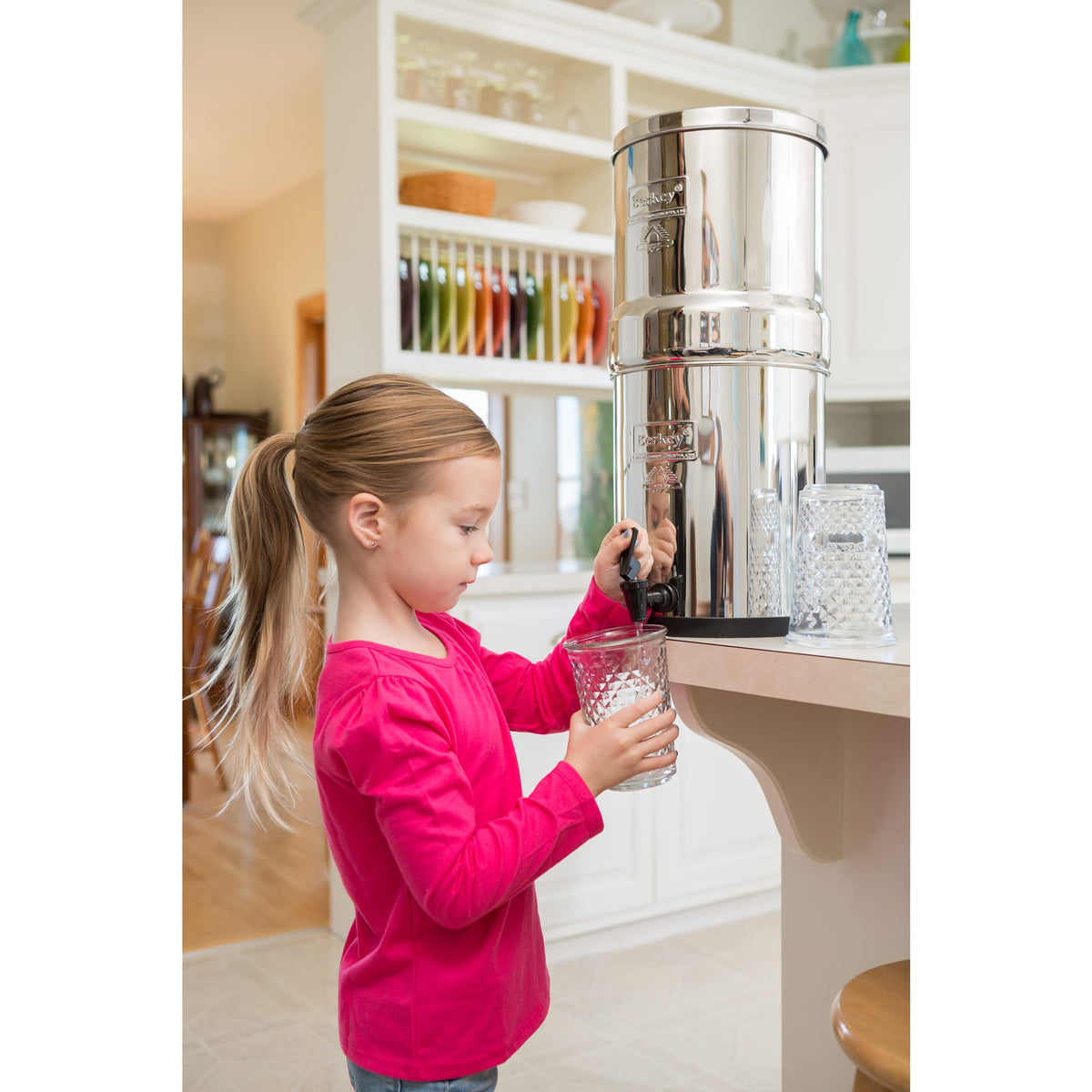 Big Berkey with Black Berkey Elements - 2.25 gal