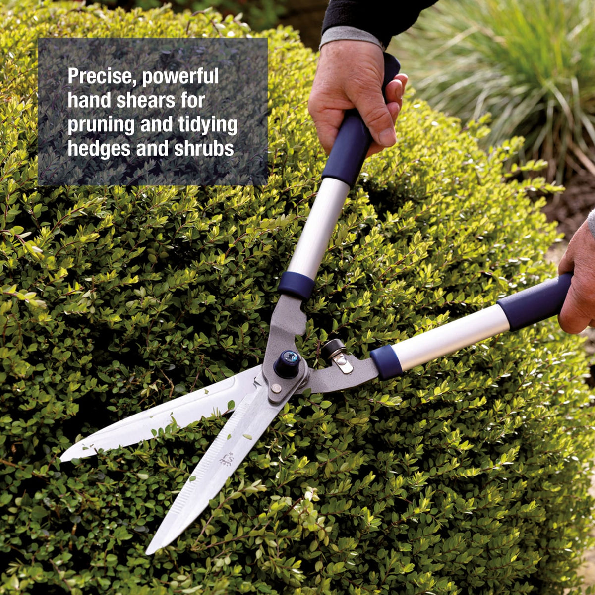 Spear & Jackson Razorsharp Notched Hedge Shears