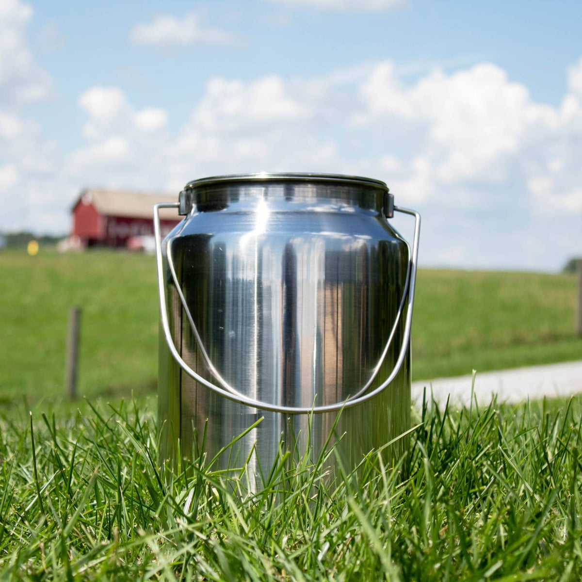 Small Stainless Steel Milk Cans - 10L/2.6 gal