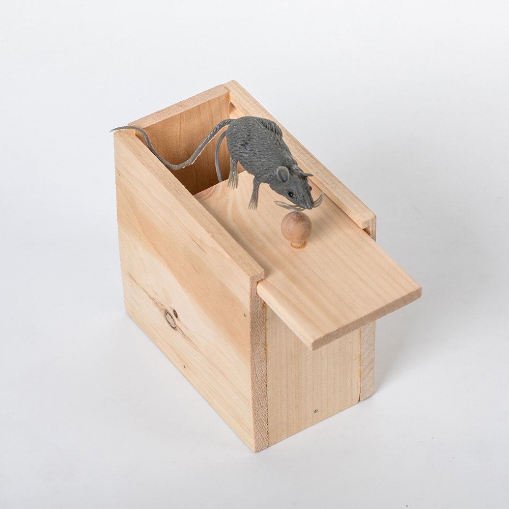 Mouse Box Surprise