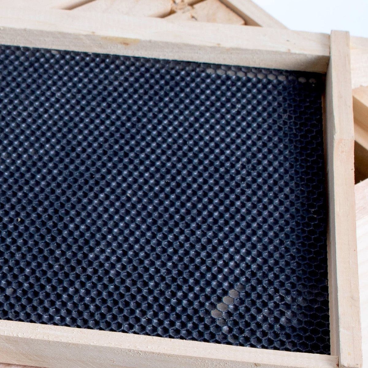 Deep Wood Bee Frame with Heavy Waxed Plastic