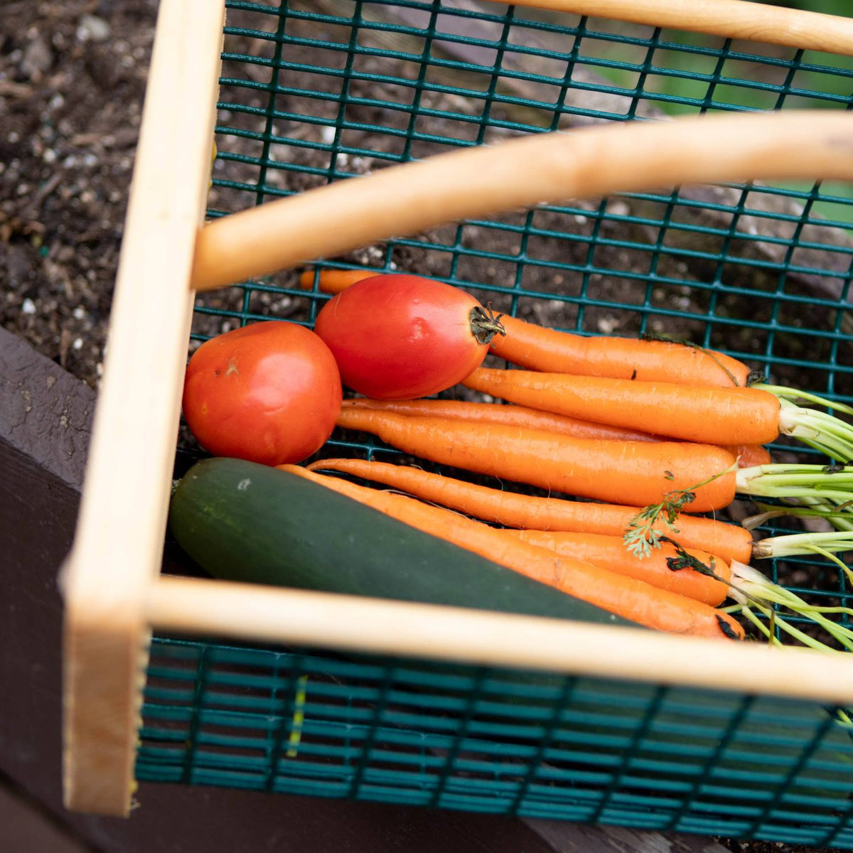 Maine Garden Hod - Choice of Size