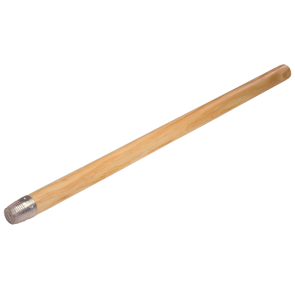 Horsehair Broom