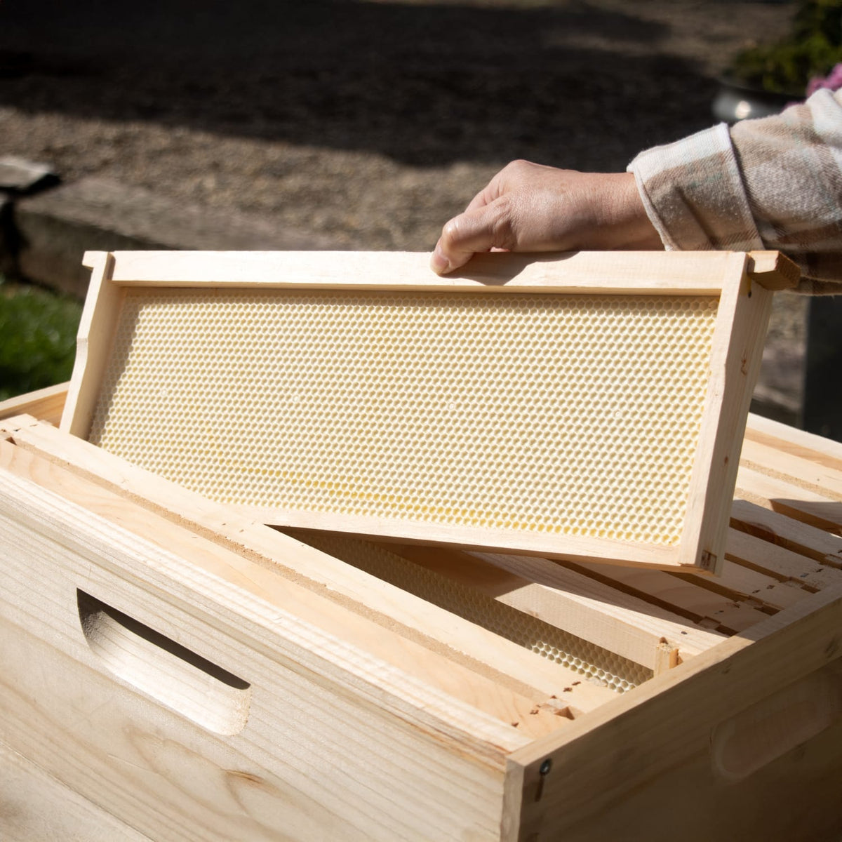 10-Frame Beehive Kit with Tools - Complete Starter Set