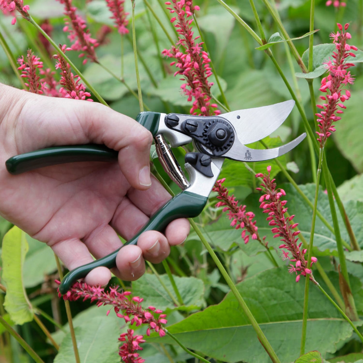 Spear & Jackson Razorsharp Left-Handed Bypass Pruners
