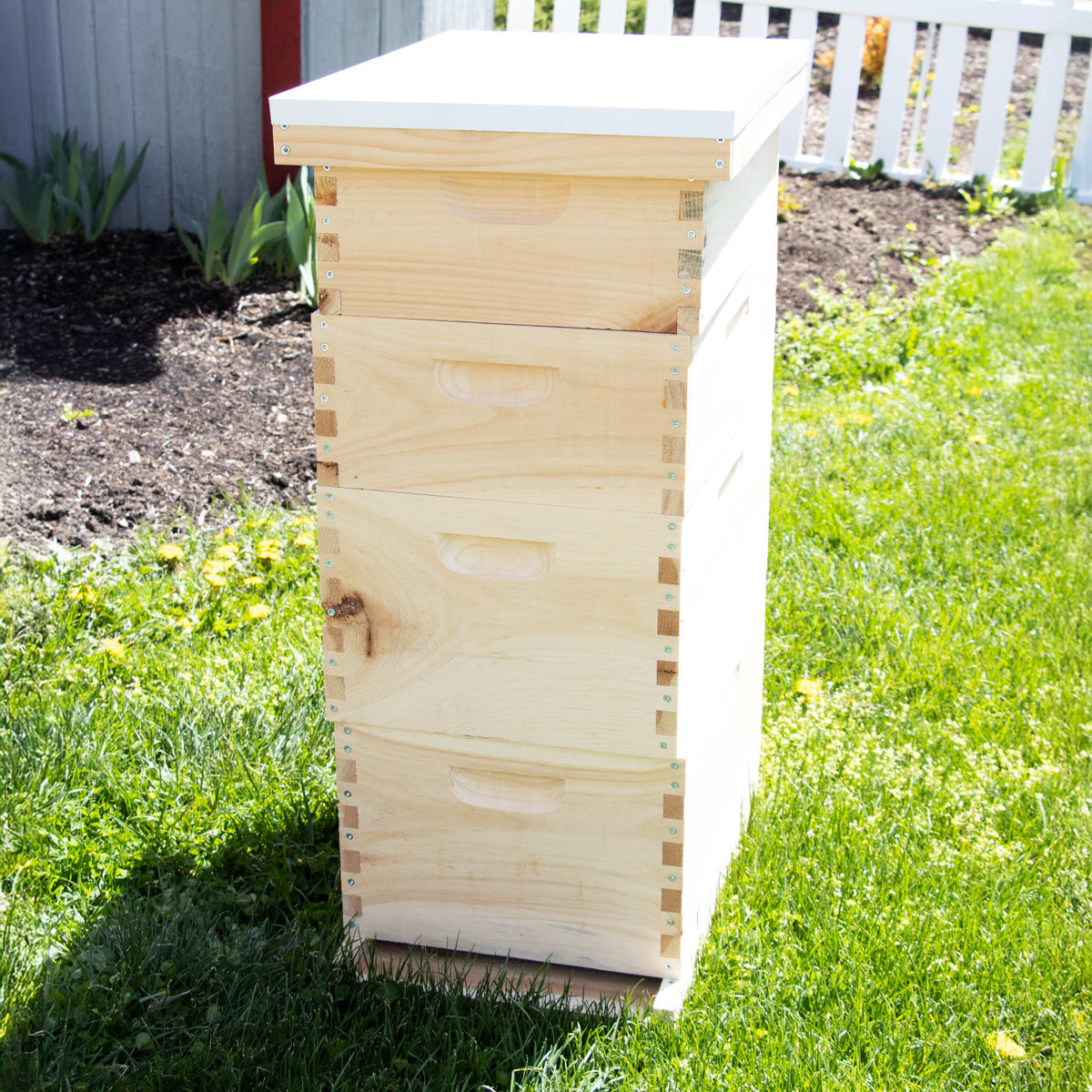 8-Frame Complete Combo Beehive Kit - Amish Made