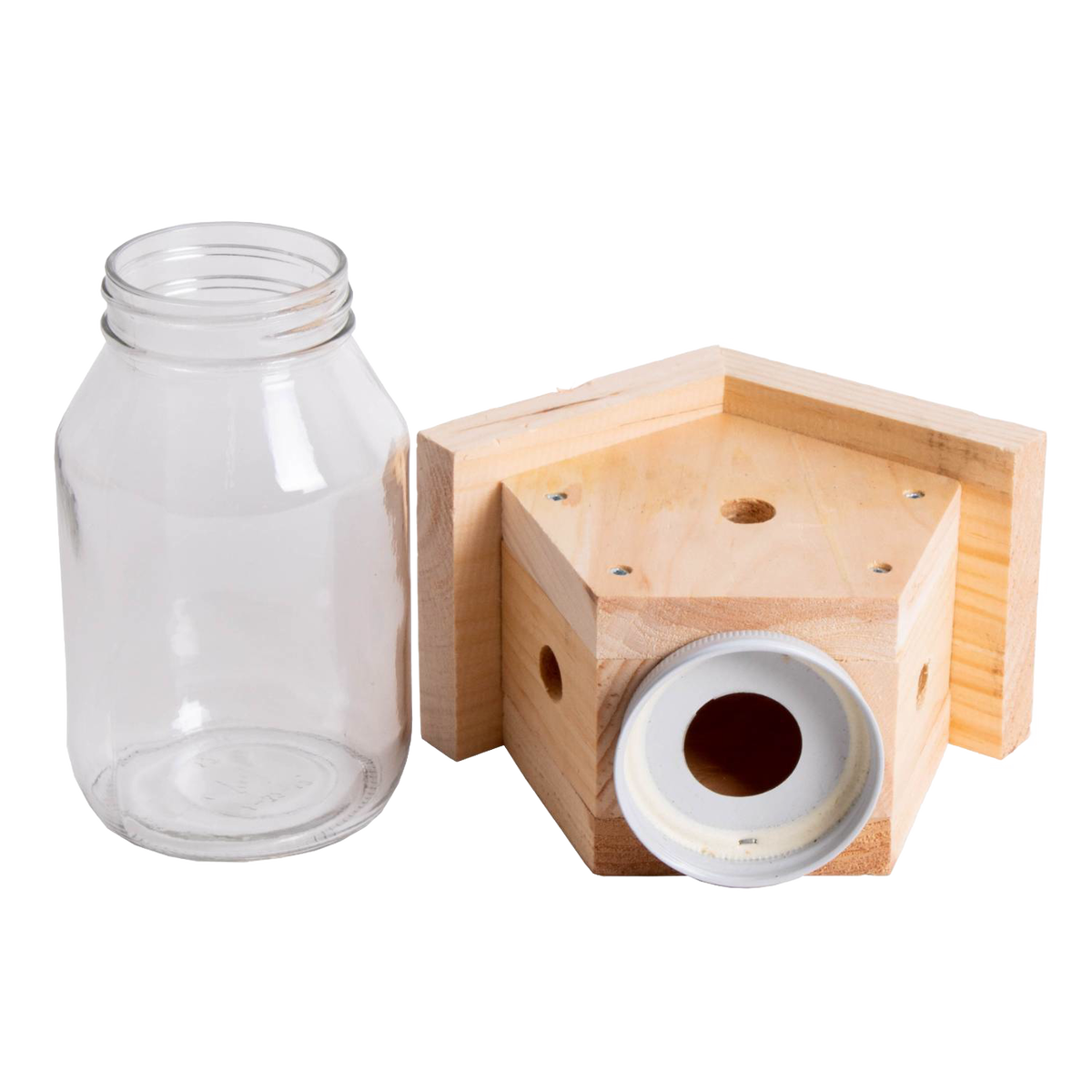 Outdoor Carpenter Bee Trap