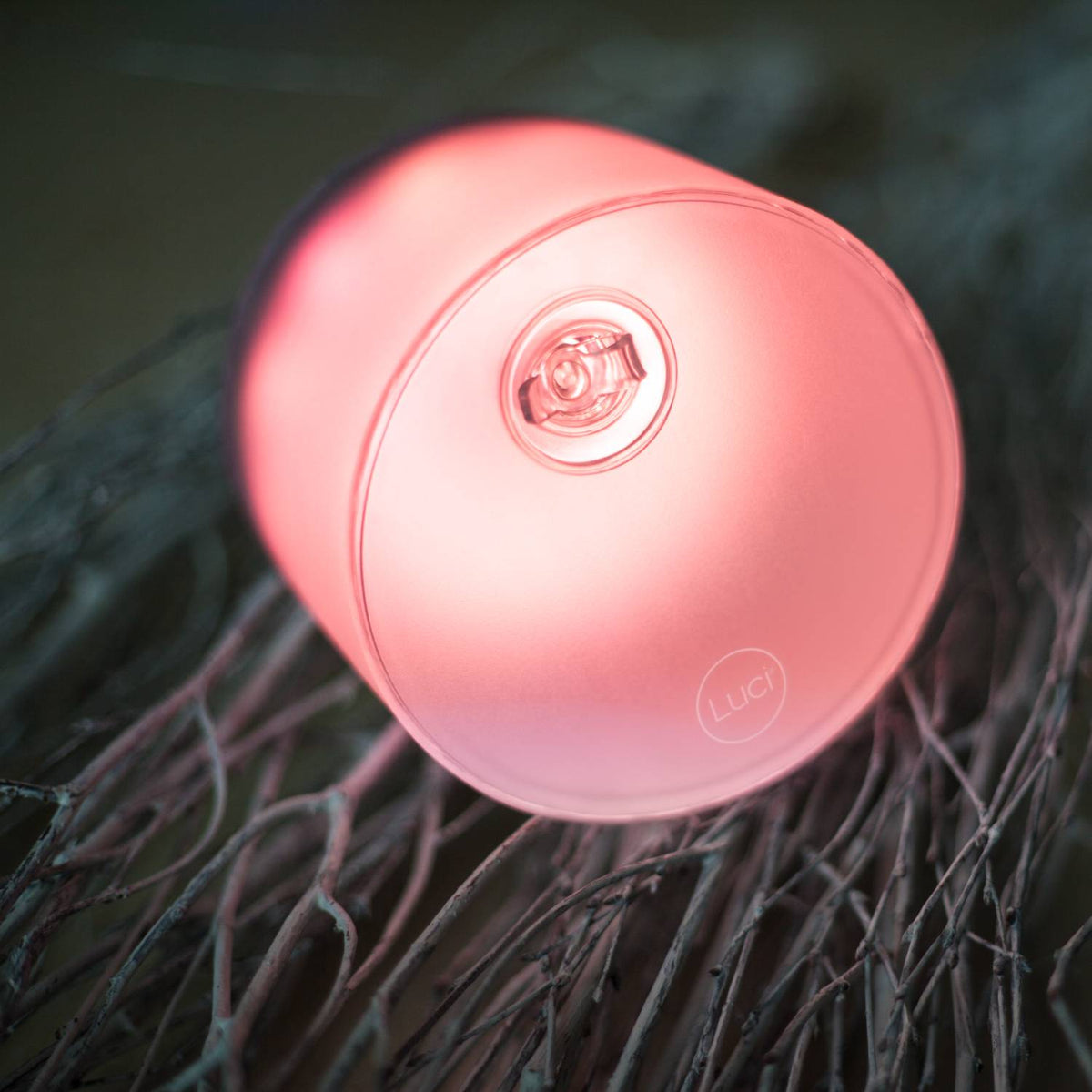 Luci Color Essence Solar Light
