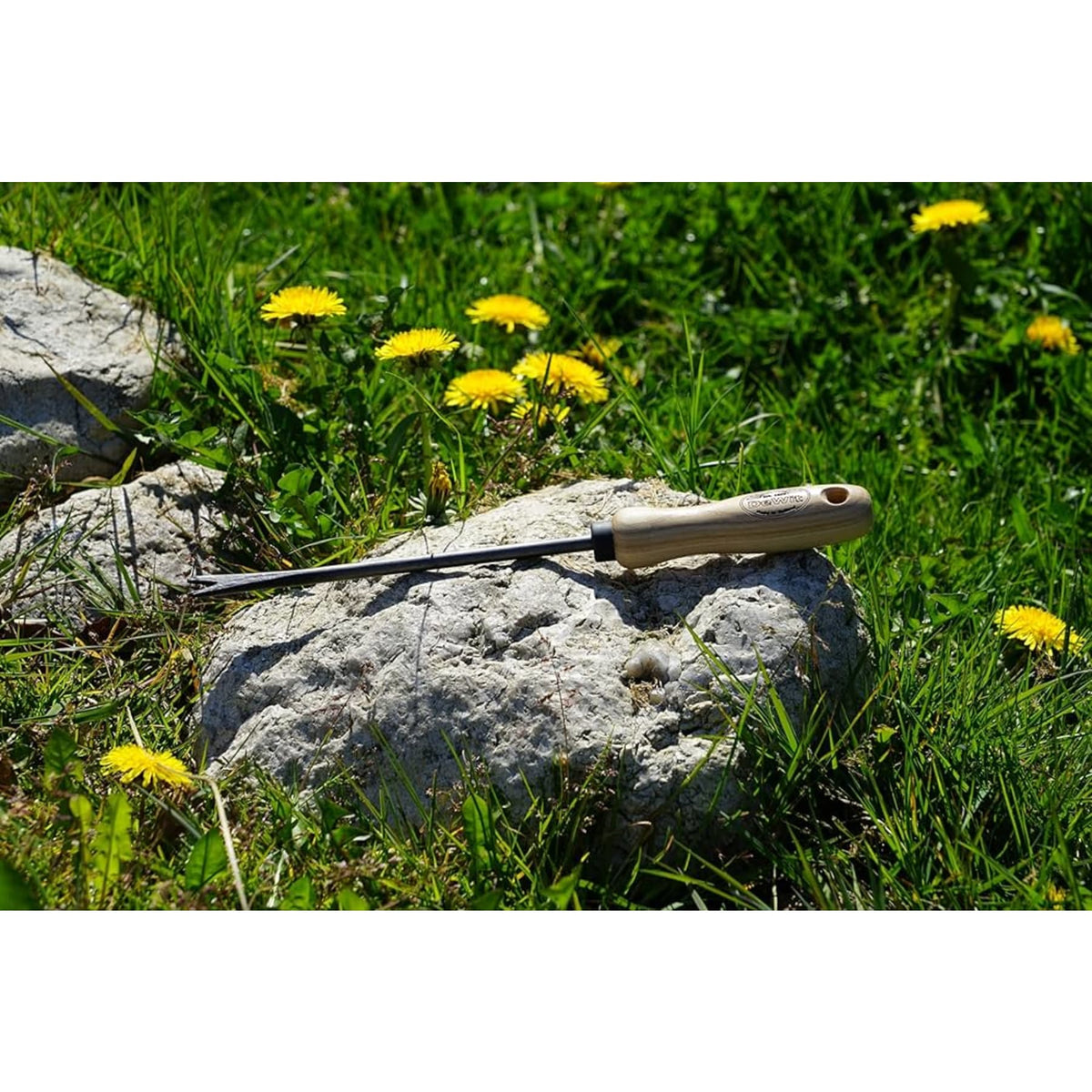 DeWit Dandelion Weeder